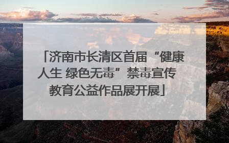 济南市长清区首届“健康人生 绿色无毒”禁毒宣传教育公益作品展开展