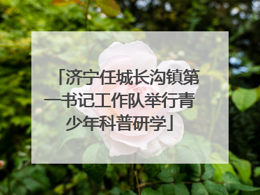 济宁任城长沟镇第一书记工作队举行青少年科普研学