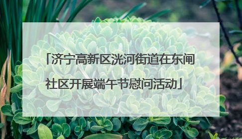 济宁高新区洸河街道在东闸社区开展端午节慰问活动