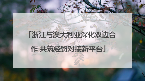 浙江与澳大利亚深化双边合作 共筑经贸对接新平台