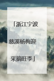 浙江宁波慈溪杨梅迎采摘旺季
