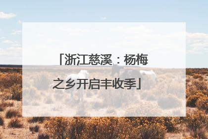 浙江慈溪：杨梅之乡开启丰收季