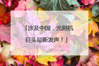 涉及中国，光刻机巨头最新发声！