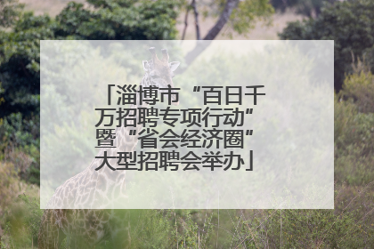 淄博市“百日千万招聘专项行动”暨“省会经济圈”大型招聘会举办