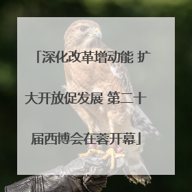 深化改革增动能 扩大开放促发展 第二十届西博会在蓉开幕