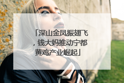 深山金凤振翅飞，钱大妈推动宁都黄鸡产业崛起