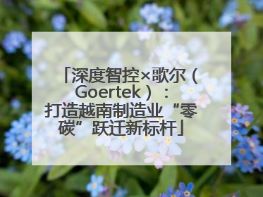 深度智控×歌尔（Goertek）：打造越南制造业“零碳”跃迁新标杆