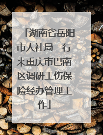 湖南省岳阳市人社局一行来重庆市巴南区调研工伤保险经办管理工作