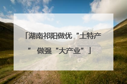 湖南祁阳做优“土特产” 做强“大产业”
