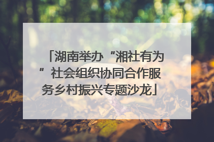 湖南举办“湘社有为”社会组织协同合作服务乡村振兴专题沙龙