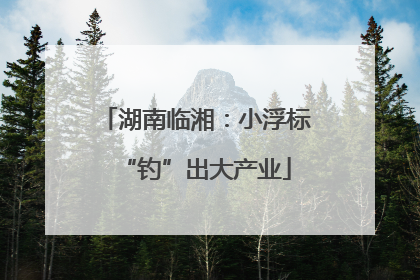 湖南临湘：小浮标“钓”出大产业