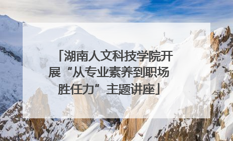 湖南人文科技学院开展“从专业素养到职场胜任力”主题讲座