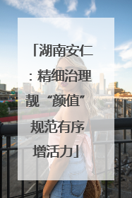 湖南安仁：精细治理靓“颜值” 规范有序增活力