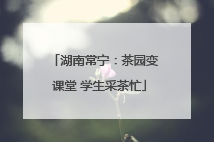 湖南常宁：茶园变课堂 学生采茶忙