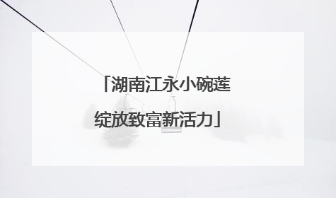 湖南江永小碗莲绽放致富新活力