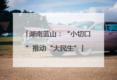 湖南蓝山：“小切口”推动“大民生”
