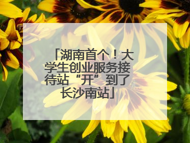 湖南首个！大学生创业服务接待站“开”到了长沙南站