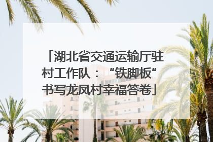 湖北省交通运输厅驻村工作队：“铁脚板”书写龙凤村幸福答卷