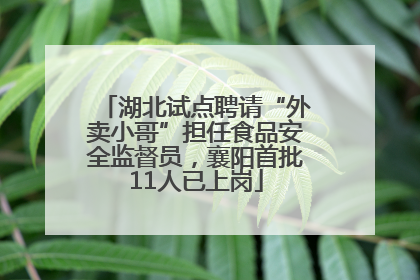 湖北试点聘请“外卖小哥”担任食品安全监督员，襄阳首批11人已上岗