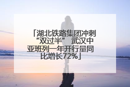 湖北铁路集团冲刺“双过半” 武汉中亚班列一年开行量同比增长72%