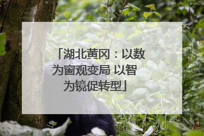 湖北黄冈：以数为窗观变局 以智为镜促转型