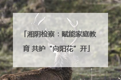 湘阴检察：赋能家庭教育 共护“向阳花”开