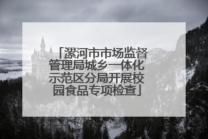 漯河市市场监督管理局城乡一体化示范区分局开展校园食品专项检查