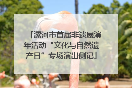 漯河市首届非遗展演年活动“文化与自然遗产日”专场演出侧记