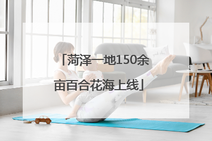 菏泽一地150余亩百合花海上线