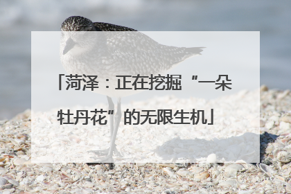 菏泽：正在挖掘“一朵牡丹花”的无限生机