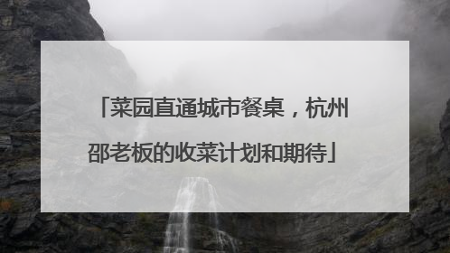 菜园直通城市餐桌，杭州邵老板的收菜计划和期待