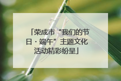 荣成市“我们的节日・端午”主题文化活动精彩纷呈