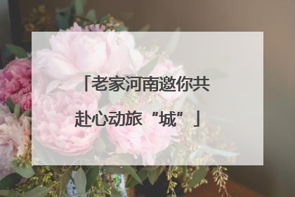 老家河南邀你共赴心动旅“城”