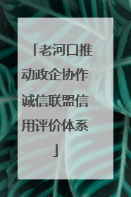 老河口推动政企协作诚信联盟信用评价体系