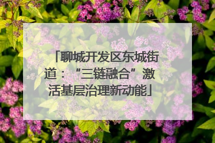 聊城开发区东城街道：“三链融合”激活基层治理新动能