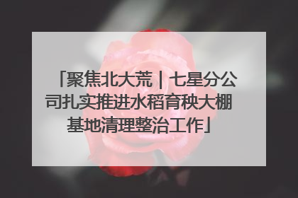 聚焦北大荒｜七星分公司扎实推进水稻育秧大棚基地清理整治工作