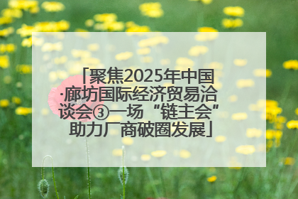 聚焦2025年中国·廊坊国际经济贸易洽谈会③一场“链主会” 助力厂商破圈发展