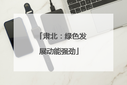 肃北：绿色发展动能强劲