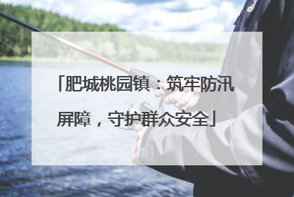肥城桃园镇：筑牢防汛屏障，守护群众安全