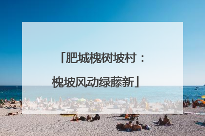 肥城槐树坡村：槐坡风动绿藤新