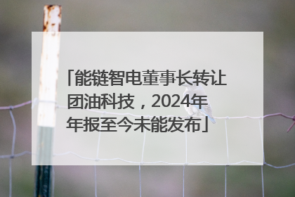 能链智电董事长转让团油科技，2024年年报至今未能发布