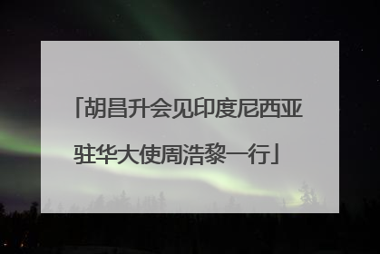胡昌升会见印度尼西亚驻华大使周浩黎一行