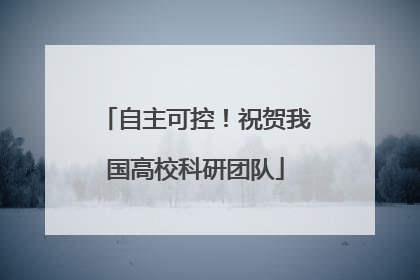 自主可控！祝贺我国高校科研团队