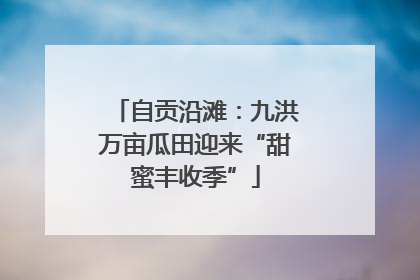 自贡沿滩：九洪万亩瓜田迎来“甜蜜丰收季”