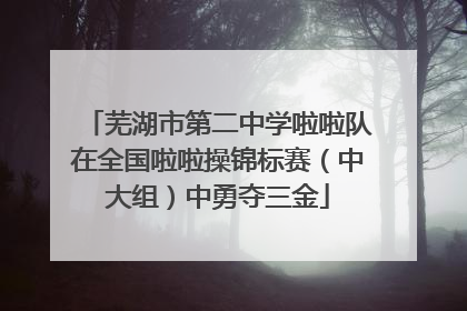 芜湖市第二中学啦啦队在全国啦啦操锦标赛（中大组）中勇夺三金