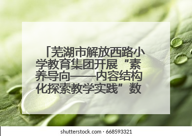 芜湖市解放西路小学教育集团开展“素养导向——内容结构化探索教学实践”数学专题研讨活动