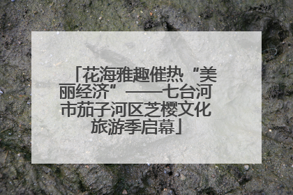 花海雅趣催热“美丽经济”——七台河市茄子河区芝樱文化旅游季启幕
