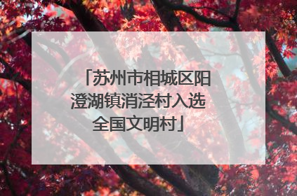苏州市相城区阳澄湖镇消泾村入选全国文明村