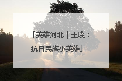 英雄河北｜王璞：抗日民族小英雄