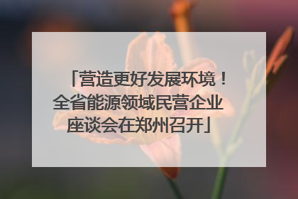 营造更好发展环境！全省能源领域民营企业座谈会在郑州召开